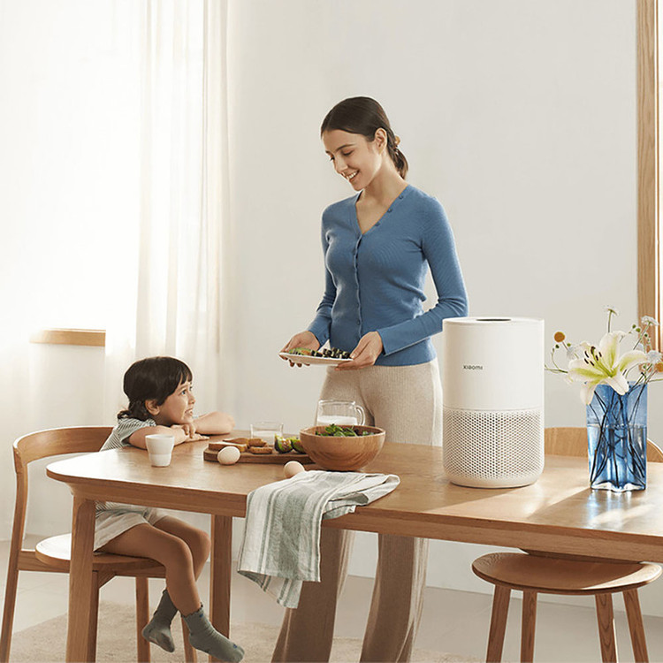 دستگاه تصفیه کننده هوا